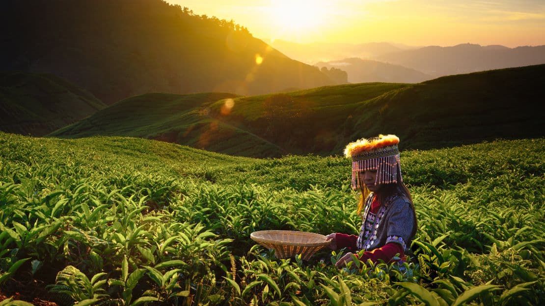 Why students from Central Asia are quietly choosing Malaysia in 2026